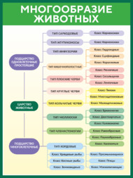 Стенд по биологии «Многообразие животных»