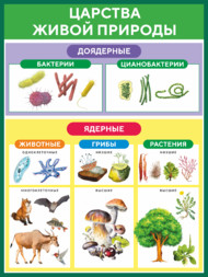 Стенд  «Царства живой природы»