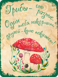 Табличка «Грибы – они разные. Один тебя накормит, другой – кино покажет»