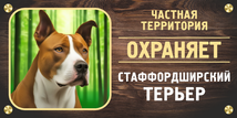 Табличка «Частная территория. Охраняет Стаффордширский терьер»